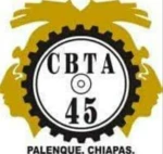 cbta 45 android application logo